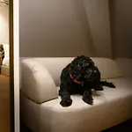 Bhb Boutique House * Macedo de Cavaleiros