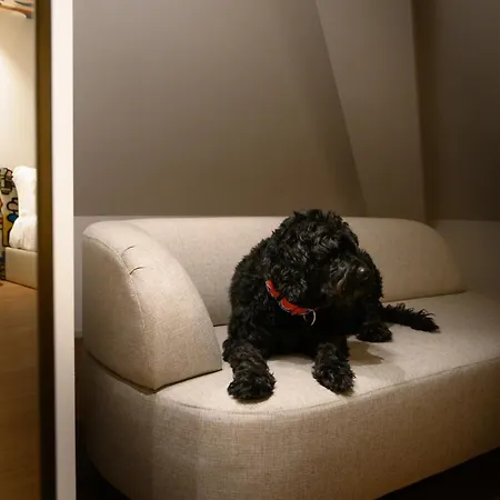 Bhb Boutique House * מסדו דה קבליירוס