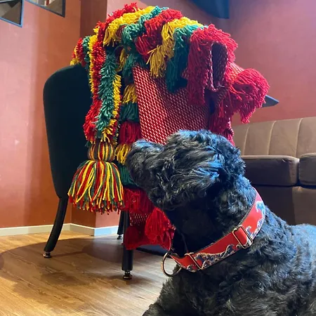 Hotel Bhb Boutique House Macedo de Cavaleiros