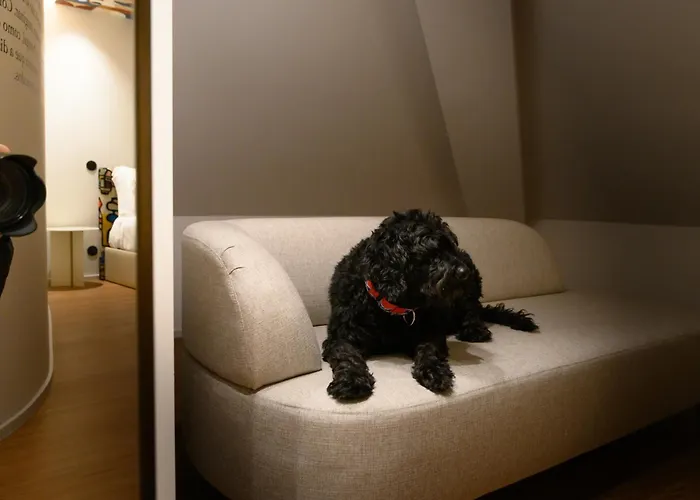 Bhb Boutique House * Macedo de Cavaleiros