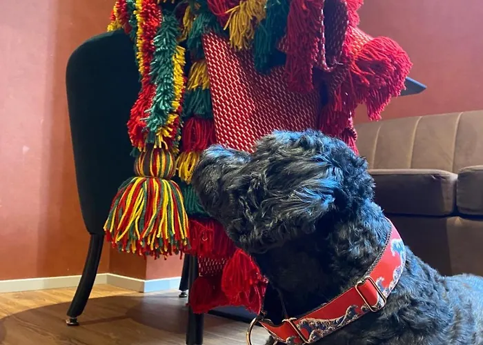 Hotel Bhb Boutique House Macedo de Cavaleiros